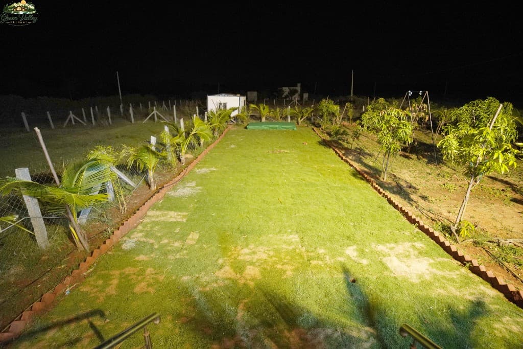 Lush green farm lawn with mango and coconut trees
